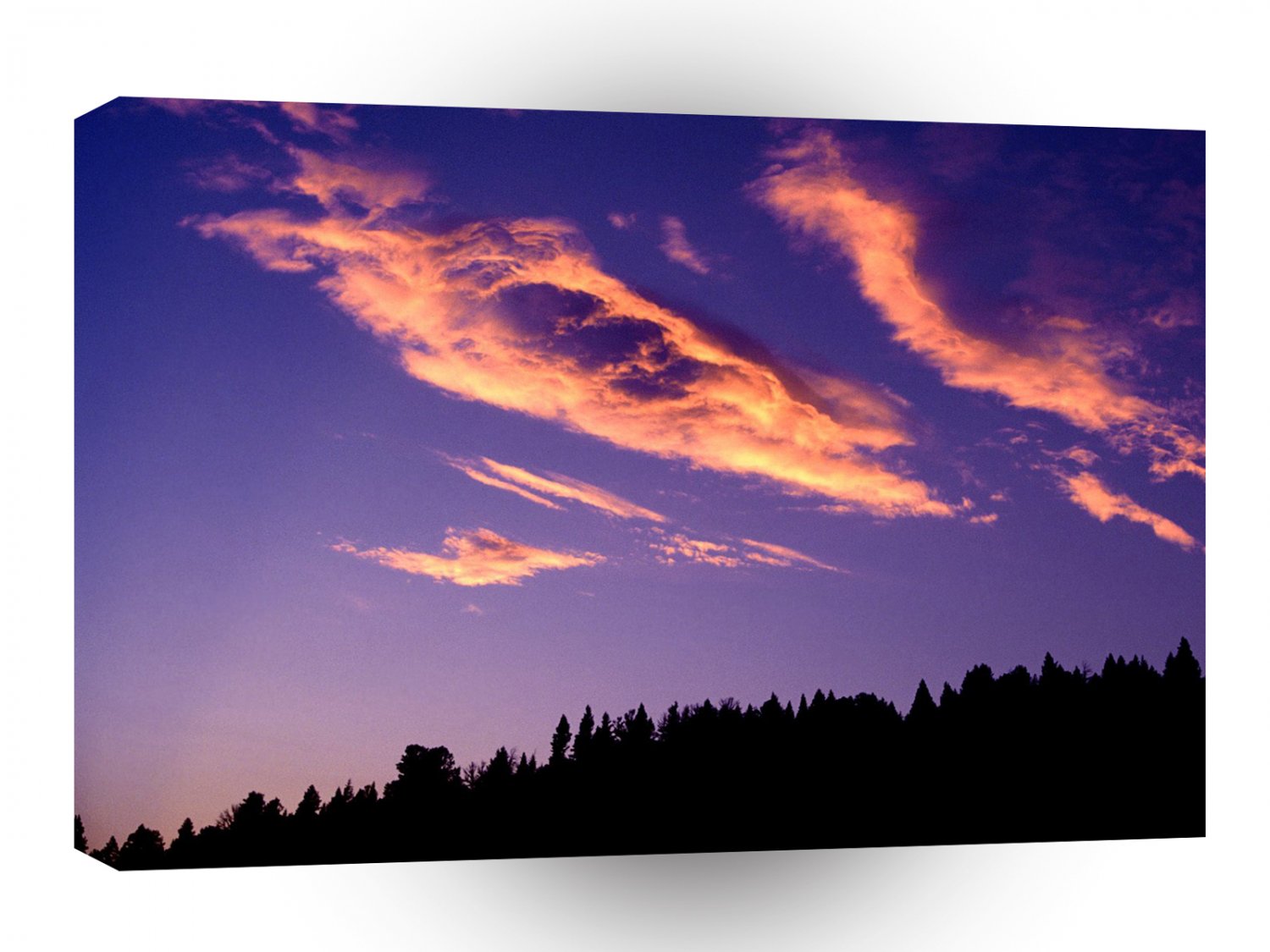 Forest Painting Sky A1 XLarge Canvas