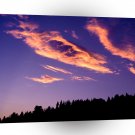 Forest Painting Sky A1 XLarge Canvas