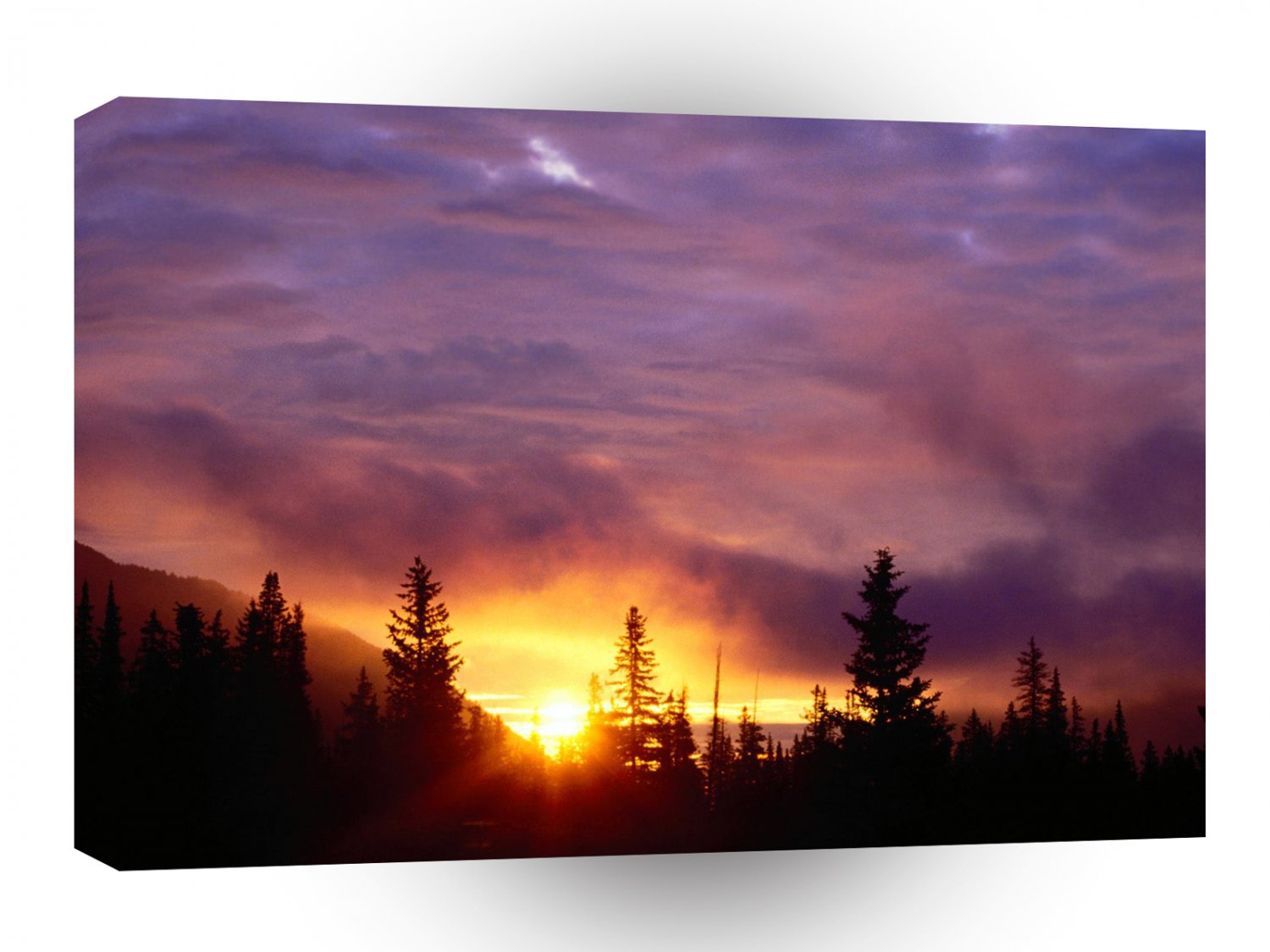 Forest Part Skies San Isabel A1 XLarge Canvas
