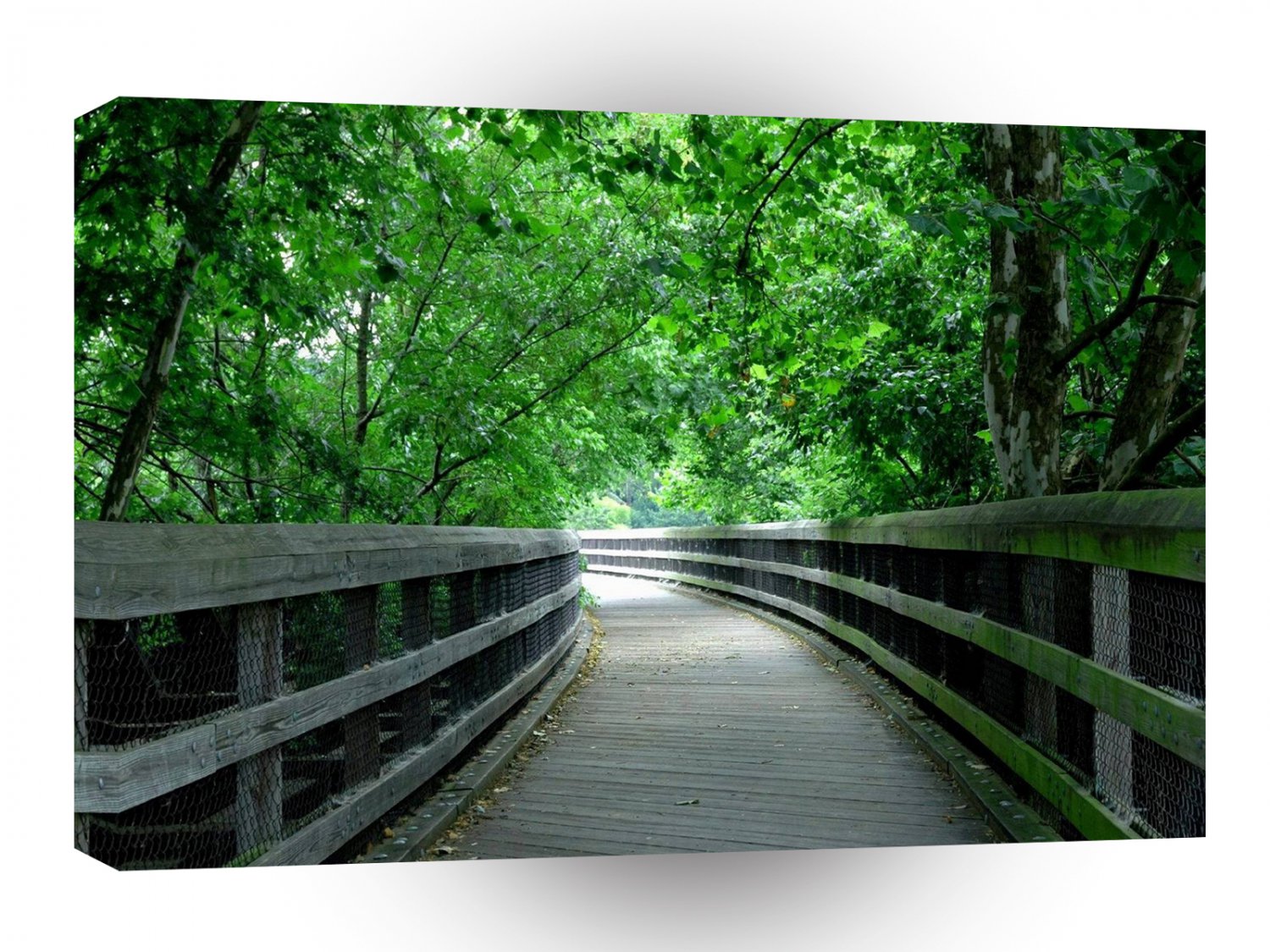 Forest Protection Shelter A1 XLarge Canvas