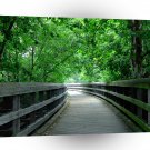 Forest Protection Shelter A1 XLarge Canvas