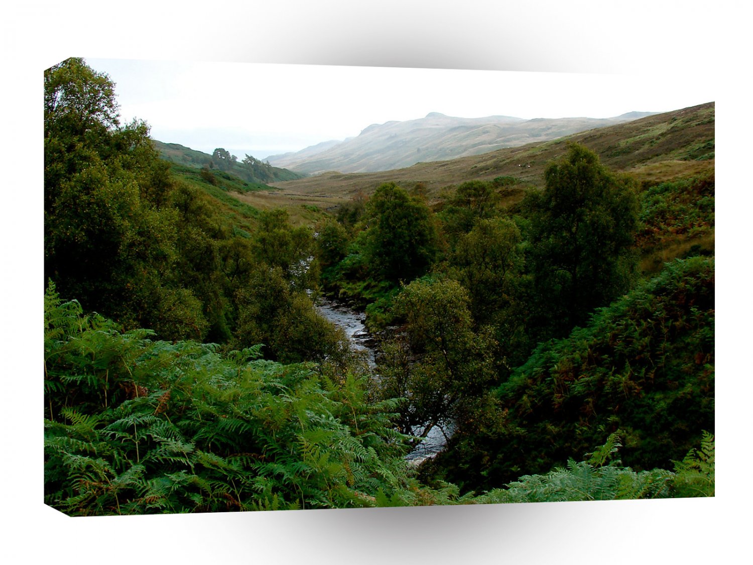 Forest Pure Stream Water A1 XLarge Canvas