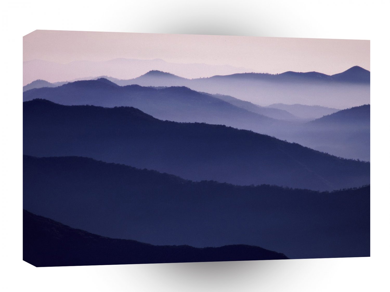 Forest Purple Majesty Sequoia A1 XLarge Canvas