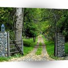 Forest Road To Enchanted Garden A1 XLarge Canvas