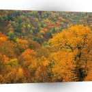 Forest Rolling Fall Landscape Appalachian Mountains A1 XLarge Canvas