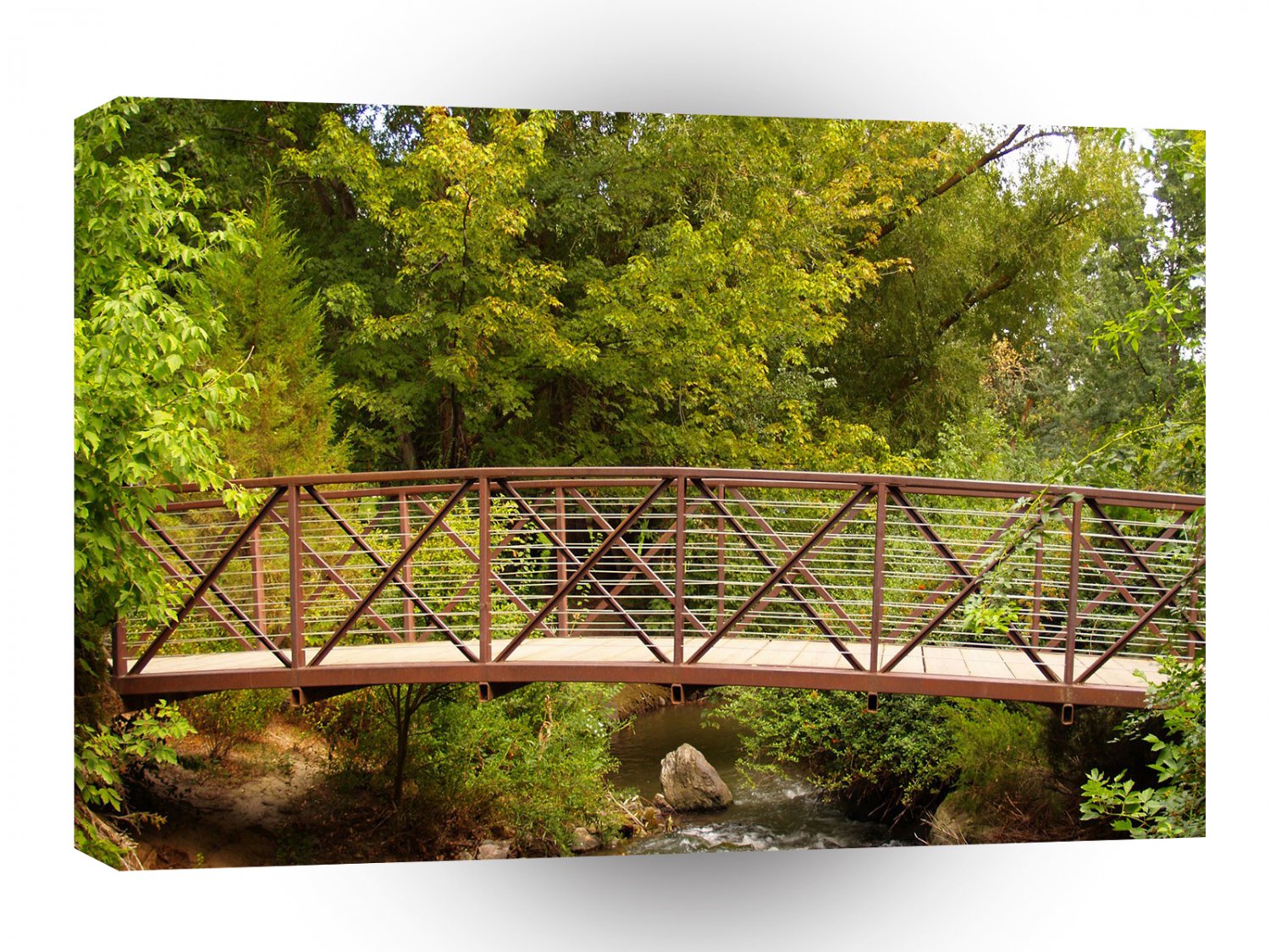 Forest Secret Walkway A1 XLarge Canvas