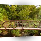 Forest Secret Walkway A1 XLarge Canvas