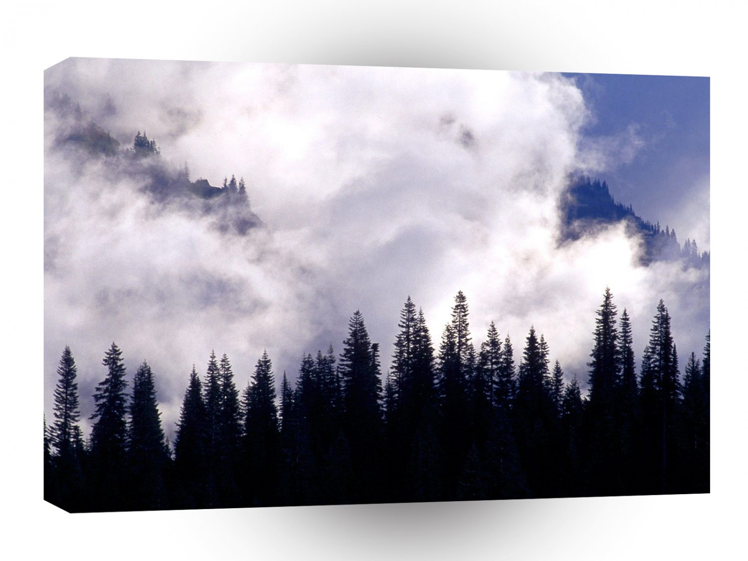 Forest Storm Clouds Swirl A1 XLarge Canvas