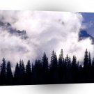 Forest Storm Clouds Swirl A1 XLarge Canvas