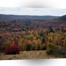 Forest Stretch For Miles A1 XLarge Canvas