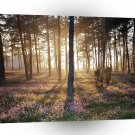Forest Sunlight Wild Floor A1 XLarge Canvas