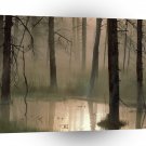 Forest Swamped Montana A1 XLarge Canvas