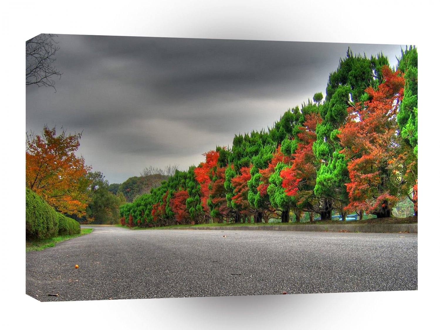 Forest Trees Bloom Row A1 XLarge Canvas