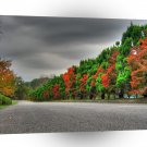 Forest Trees Bloom Row A1 XLarge Canvas