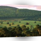 Forest Valley Vista Scotland A1 XLarge Canvas