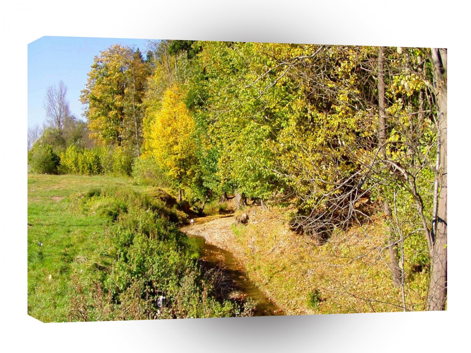 Forest Yellow Brick Path A1 XLarge Canvas