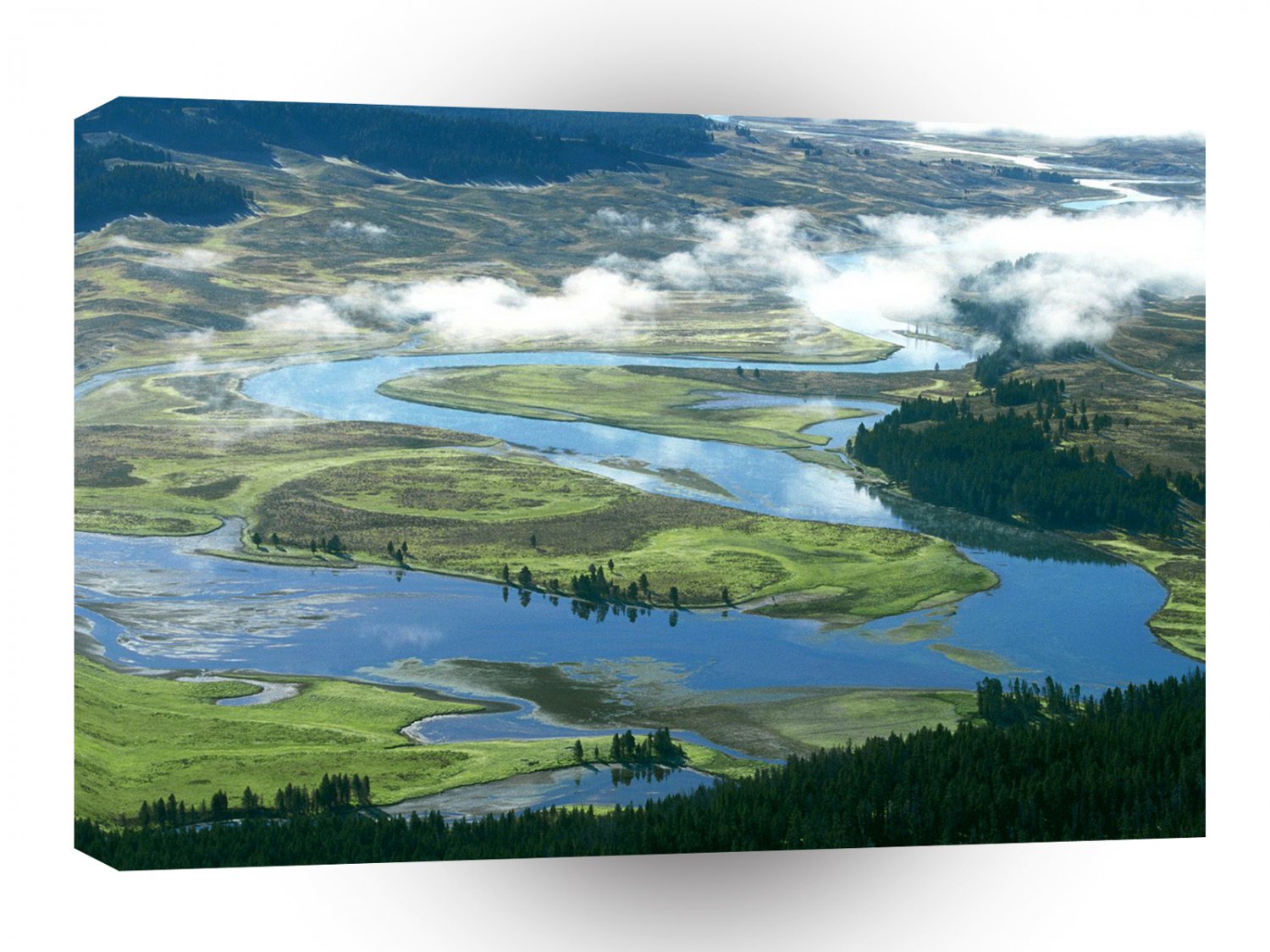 Forest Yellowstone Hayden Valley A1 XLarge Canvas