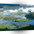 Forest Yellowstone Hayden Valley A1 XLarge Canvas