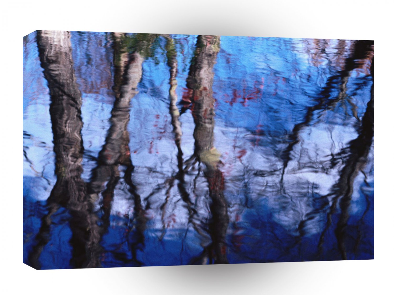 Lake Bare Reflections Warren Maine A1 XLarge Canvas