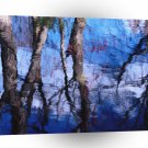 Lake Bare Reflections Warren Maine A1 XLarge Canvas