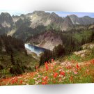Lake Cliff Tatoosh Rainier Park A1 XLarge Canvas