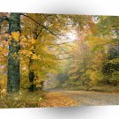 Autumn Crisp Afternoon Vermont A1 XLarge Canvas