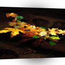 Autumn End Of Oregon A1 XLarge Canvas