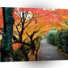 Autumn Kyoto Japan A1 XLarge Canvas