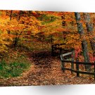 Autumn Mccormick Creek State Park Indiana A1 XLarge Canvas