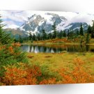 Autumn Mount Shuksan North Cascades A1 XLarge Canvas