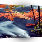 Autumn Oxtongue River Ontario Canada A1 XLarge Canvas