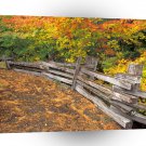 Autumn Split Rail Mount Rainier A1 XLarge Canvas