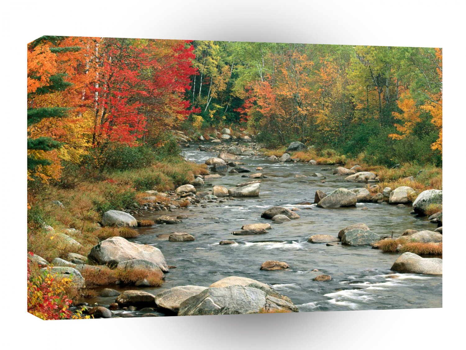 Autumn White Mountains New Hampshire A1 XLarge Canvas
