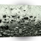 Beach Black Sand A1 XLarge Canvas