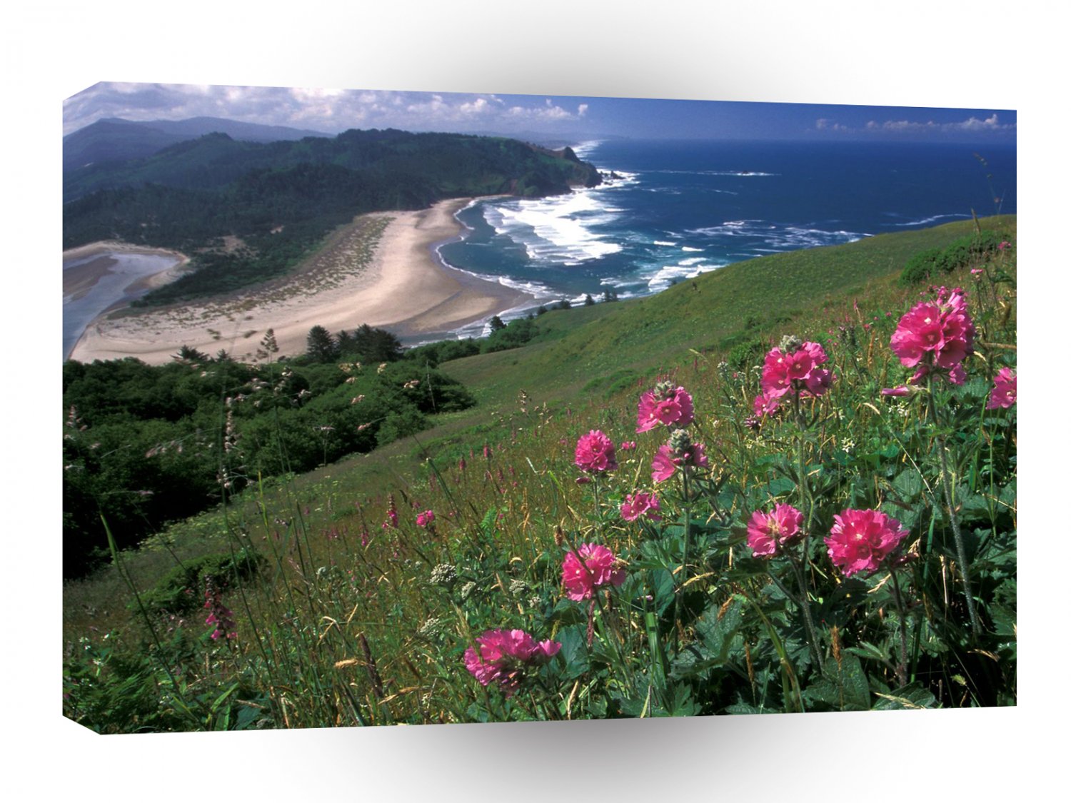 Beach Cascade Head A1 XLarge Canvas