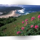 Beach Cascade Head A1 XLarge Canvas