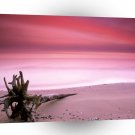Beach Chesapeake Bay Purple Sky A1 XLarge Canvas