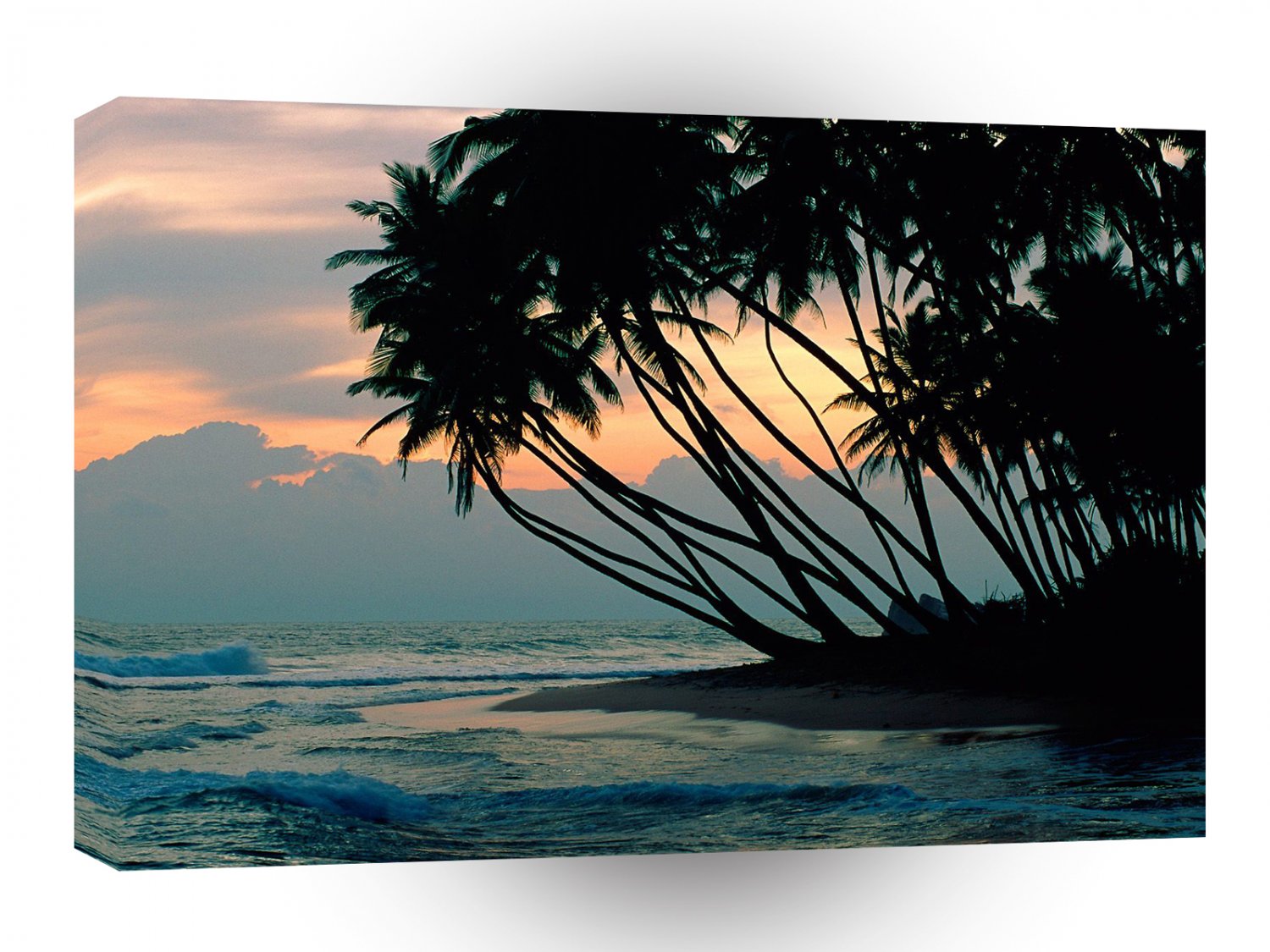 Beach Colombo Sri Lanka A1 XLarge Canvas