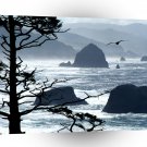 Beach Ecola Point Coast A1 XLarge Canvas