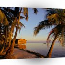 Beach Roatan Honduras A1 XLarge Canvas