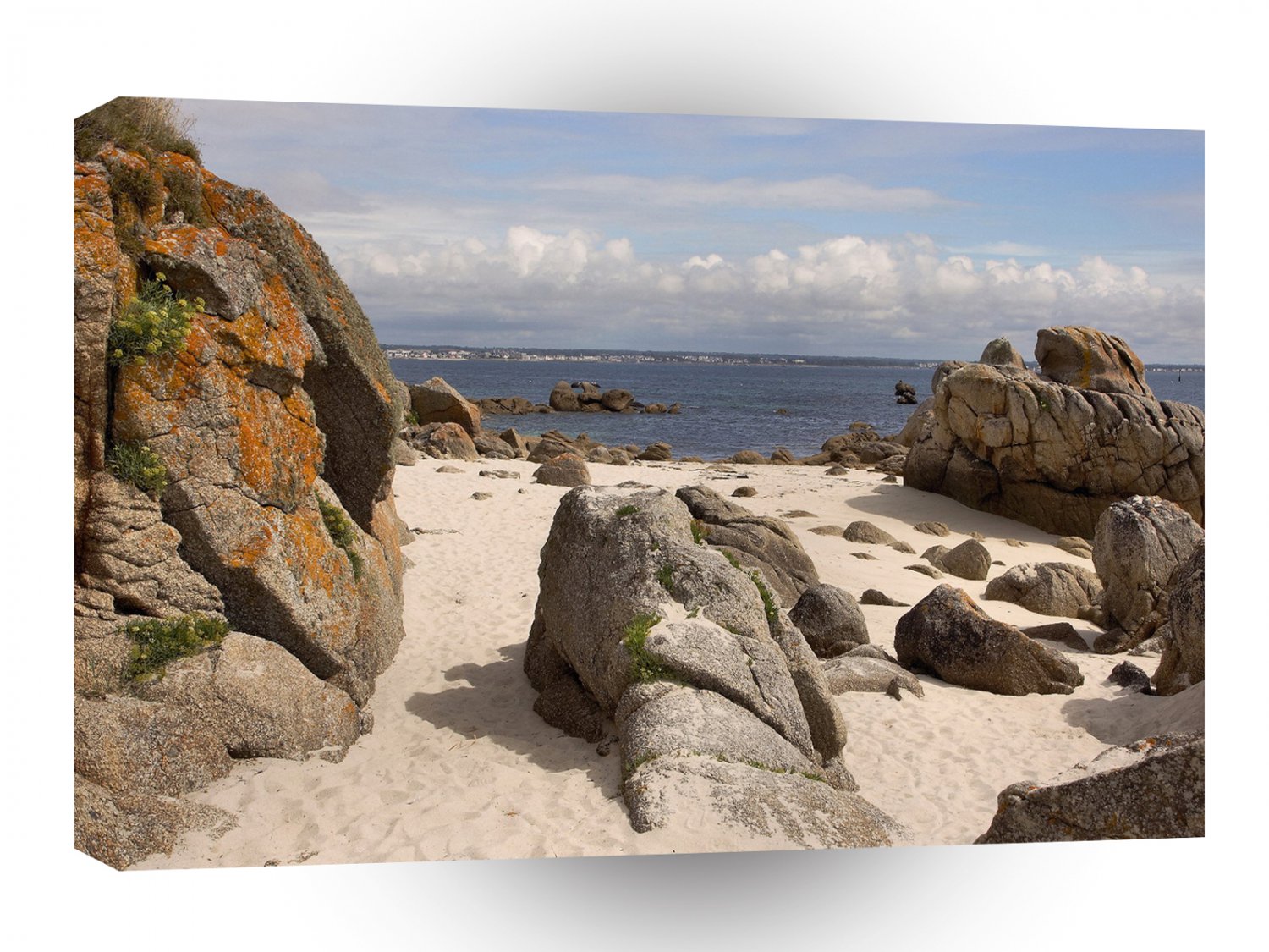 Beach Rock Paradise A1 XLarge Canvas