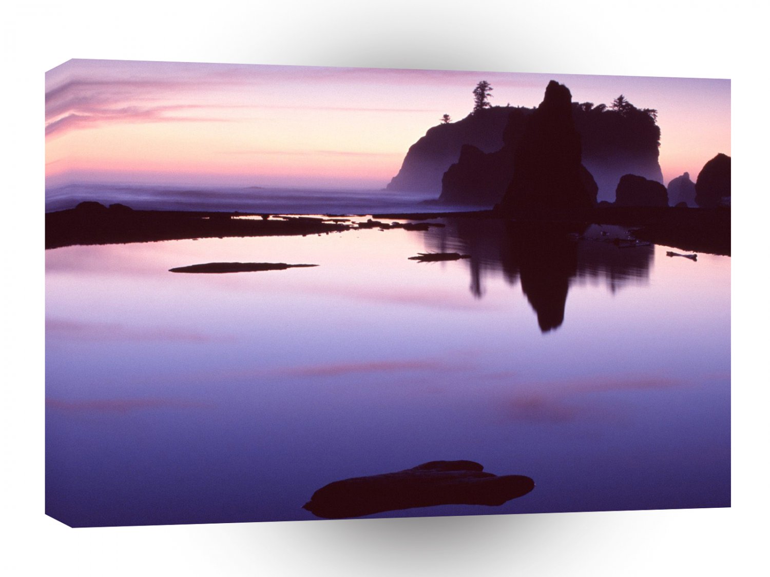 Beach Ruby Park A1 XLarge Canvas