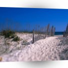 Beach Shell Island A1 XLarge Canvas