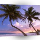 Beach Sultry Sways Cancun Mexico A1 XLarge Canvas