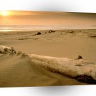 Beach Sunset Driftwood Nehalem Bay A1 XLarge Canvas