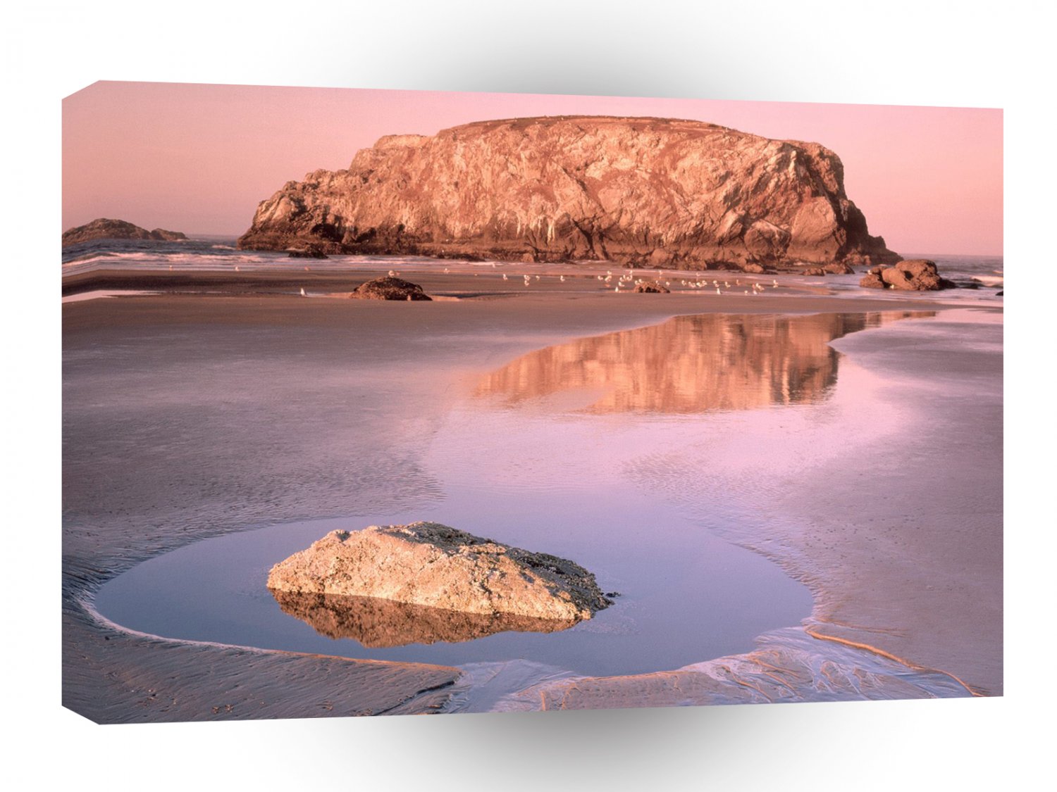 Beach Table Rock Low Tide Reflections Islands A1 XLarge Canvas