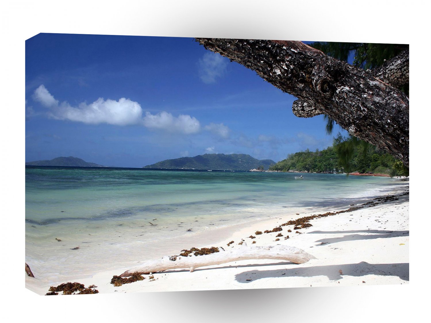 Beach Tree Paradise A1 XLarge Canvas