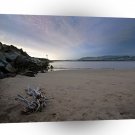 Beach Ventura Driftwood A1 XLarge Canvas