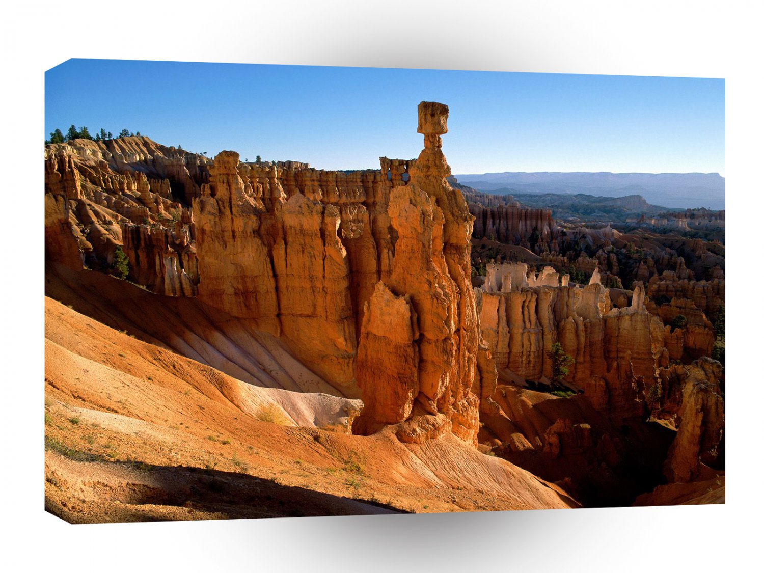 Canyon Bryce Park Utah A1 XLarge Canvas