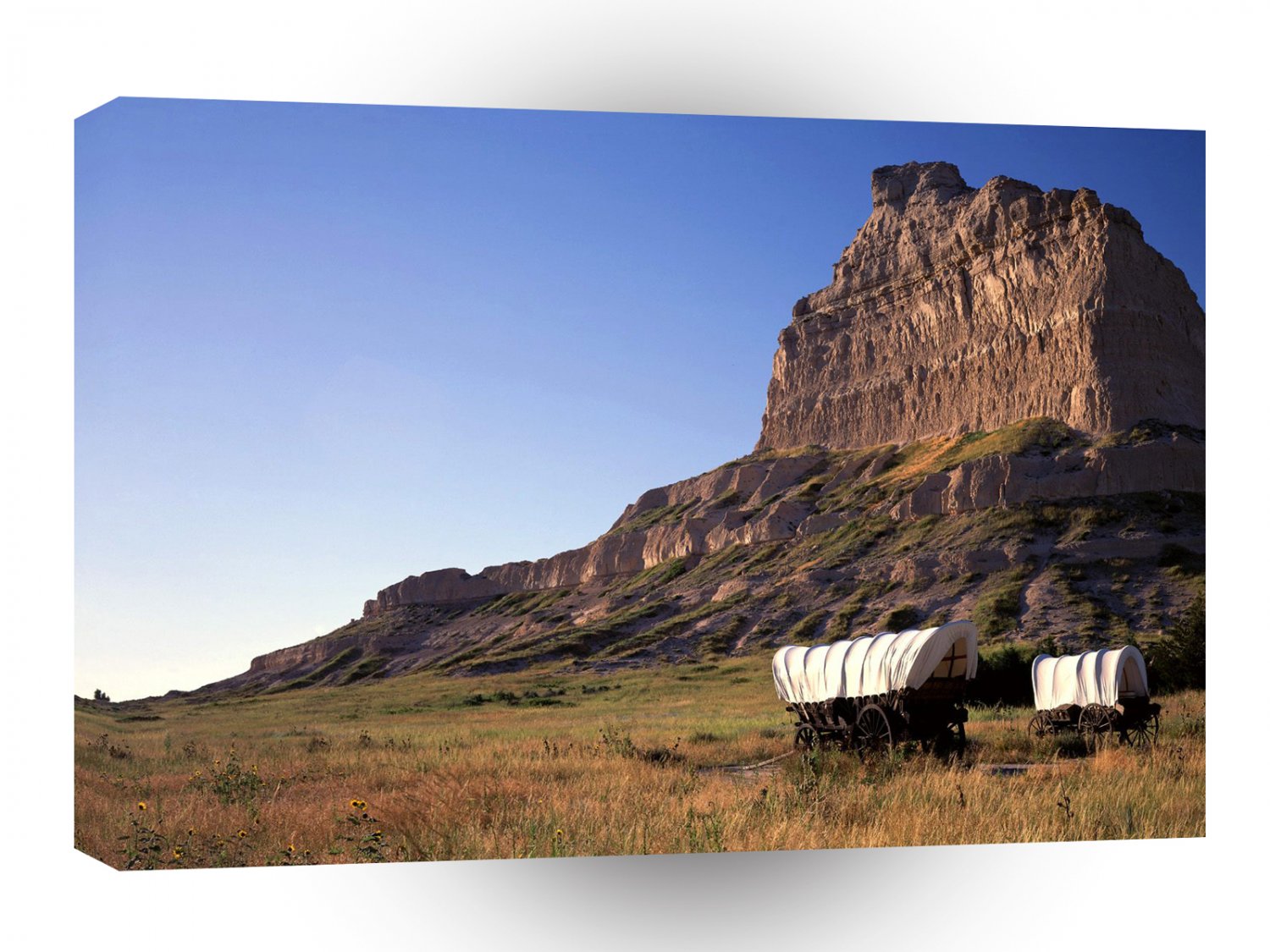 Canyon Eagle Rockwagons Monument Nebraska A1 XLarge Canvas
